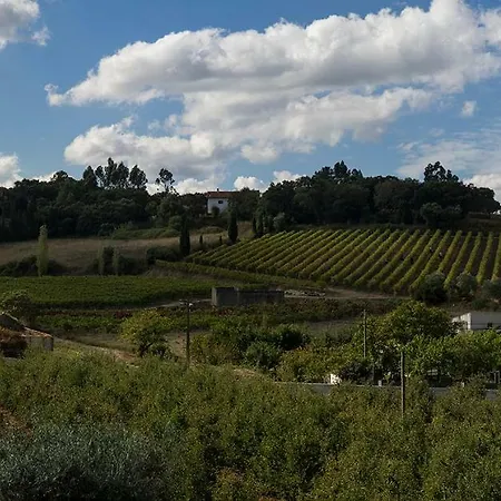 Quinta Boa Vida 1 펜션 Carrascal (Leiria)