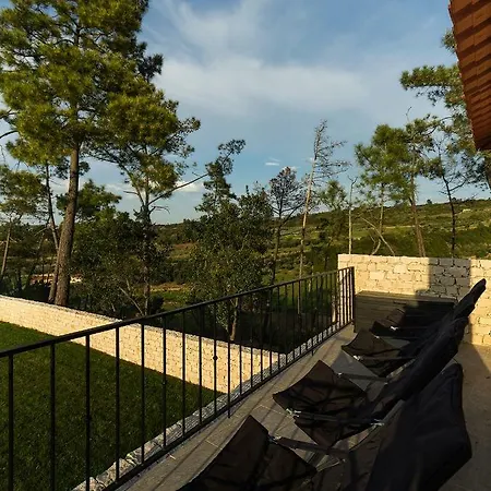 Quinta Boa Vida 1 펜션 Carrascal (Leiria)